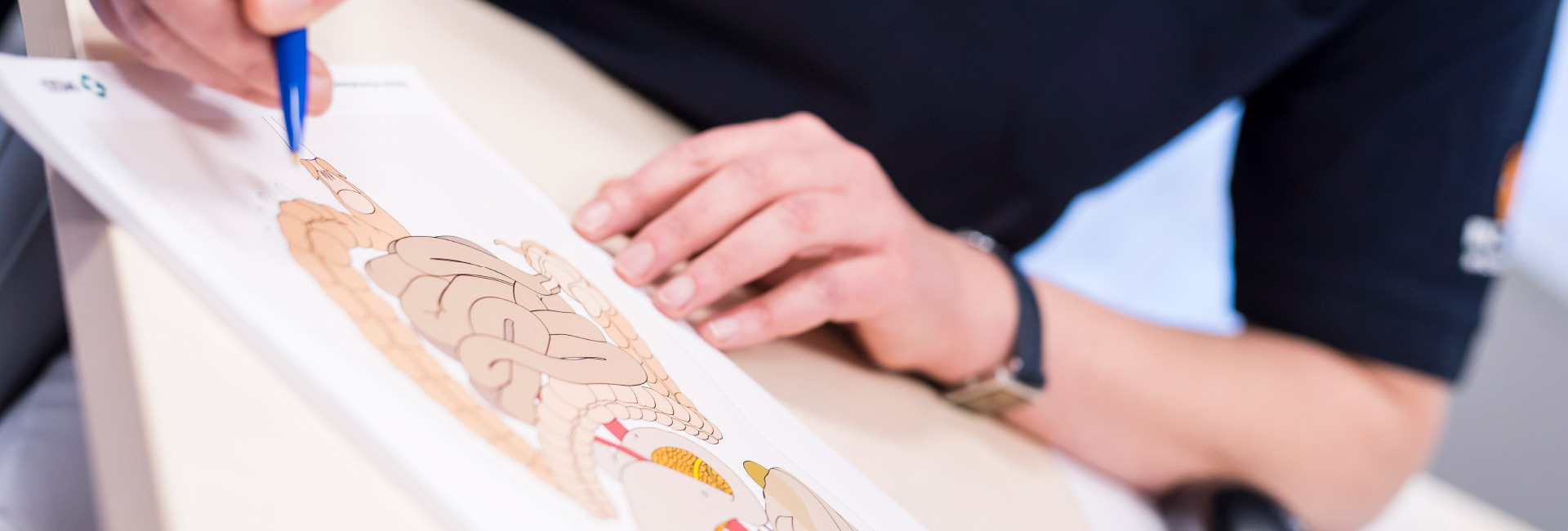 Gastroenterologie